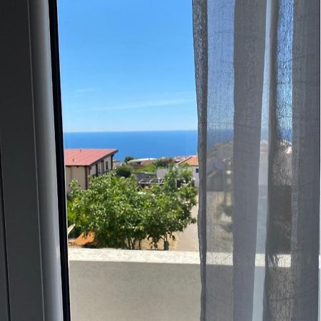 Apartments Wild Beauty - Krimovica Budva Buitenkant foto